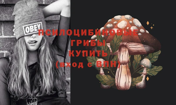 синтетический гашиш Белокуриха