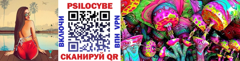 Псилоцибиновые грибы Cubensis  Жердевка 